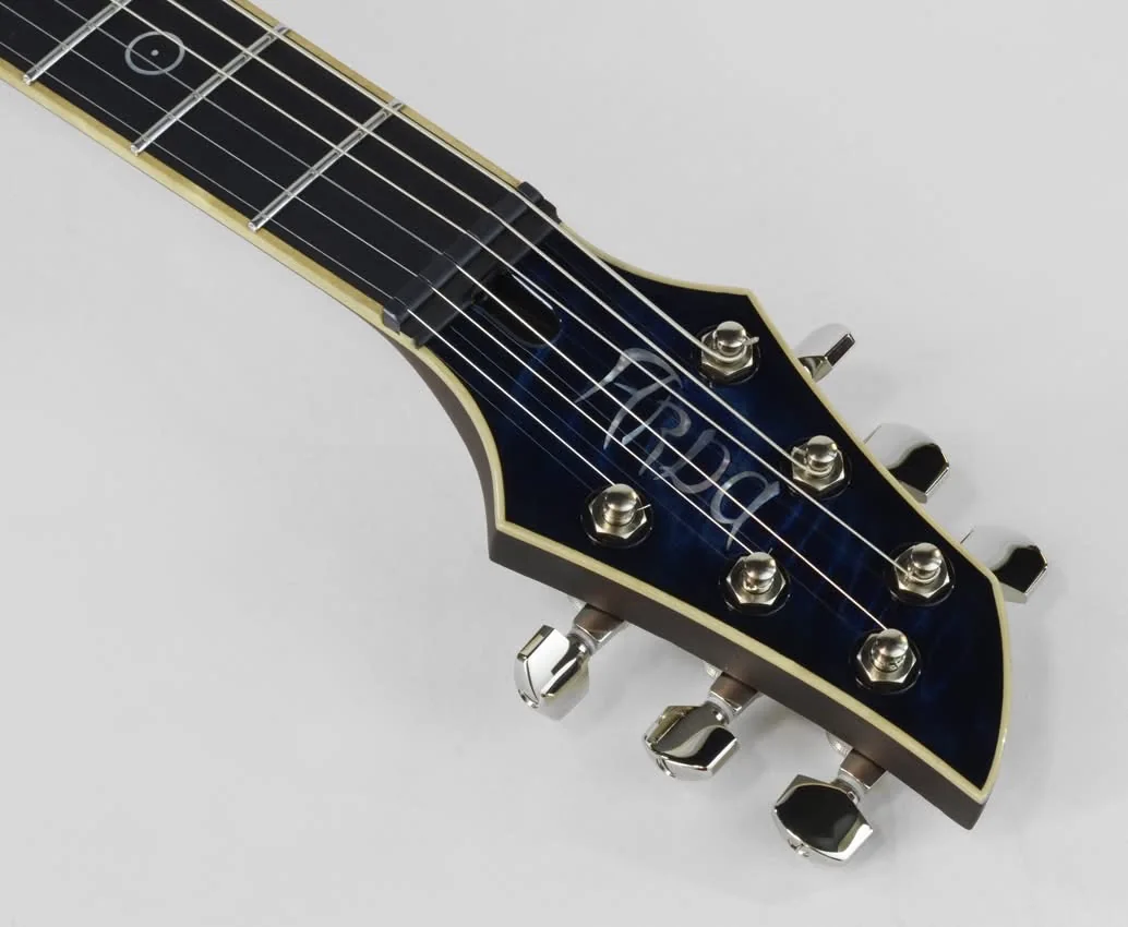 Custom Electric Guitar